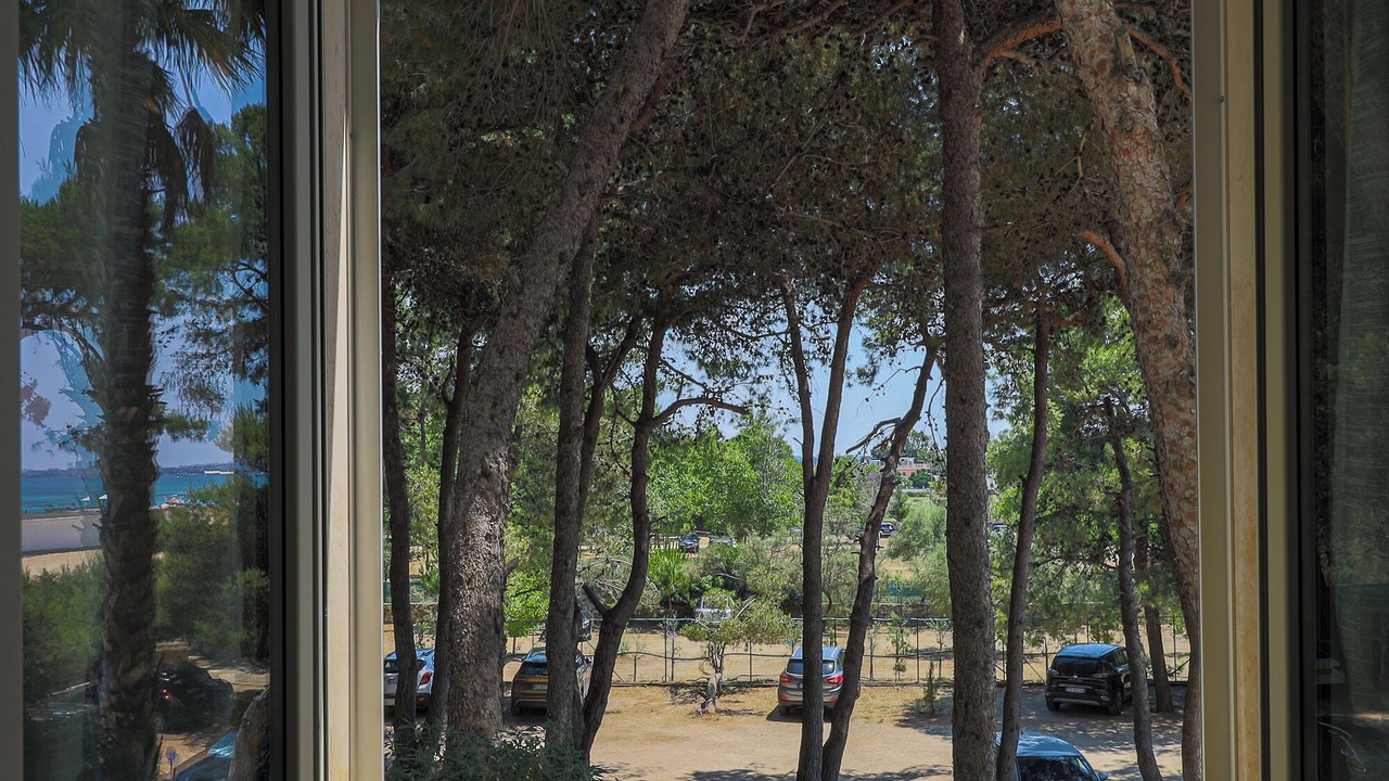 Photo of Others in Lido Conchiglie