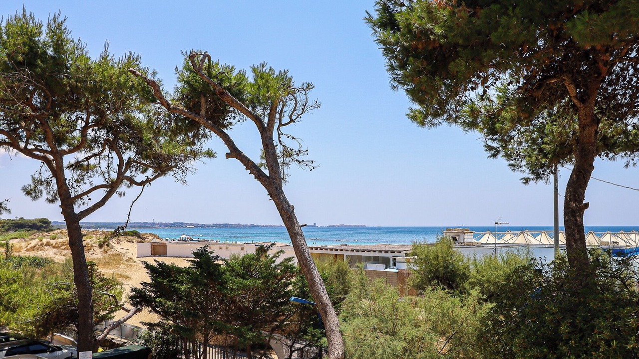 Photo of Others in Lido Conchiglie
