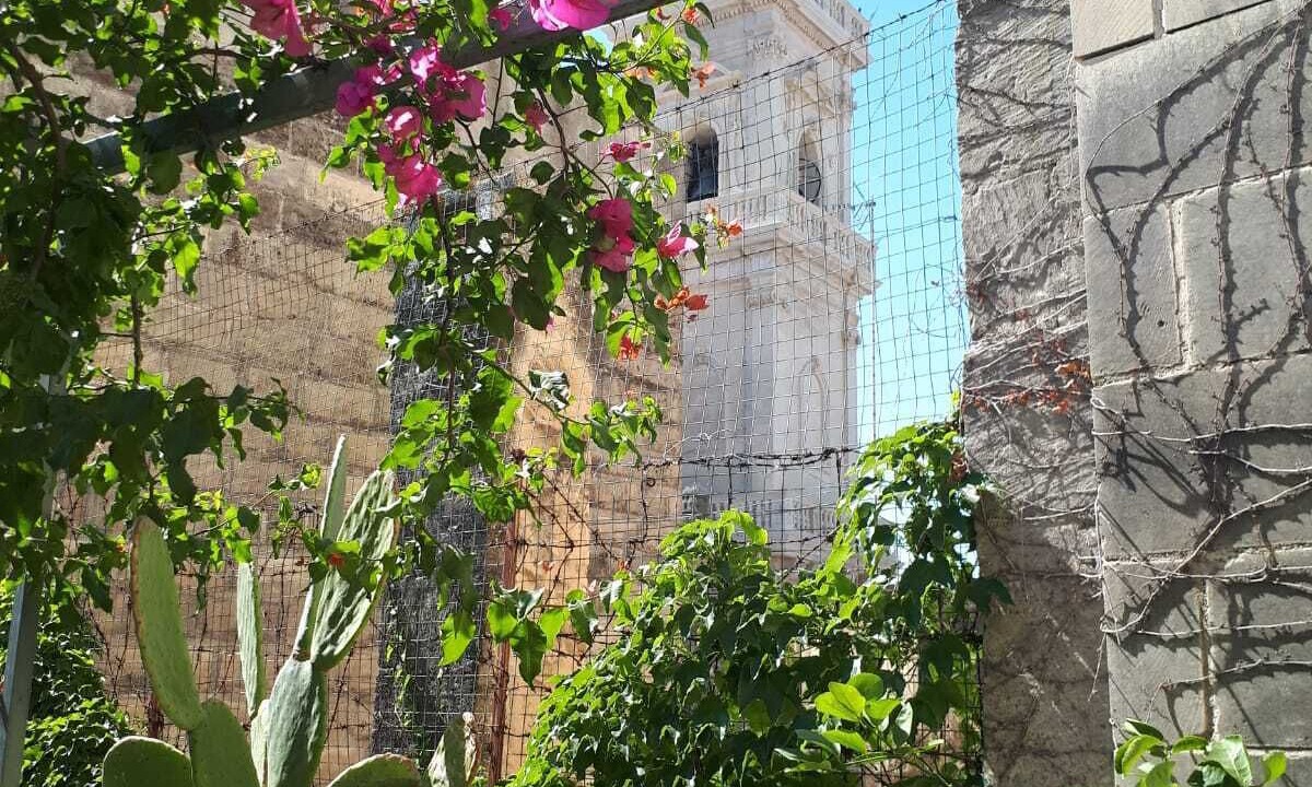 Photo of Others in Centro Storico