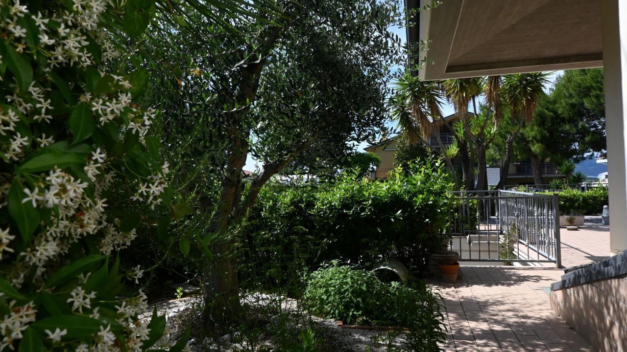Photo of Outdoor in Loreto