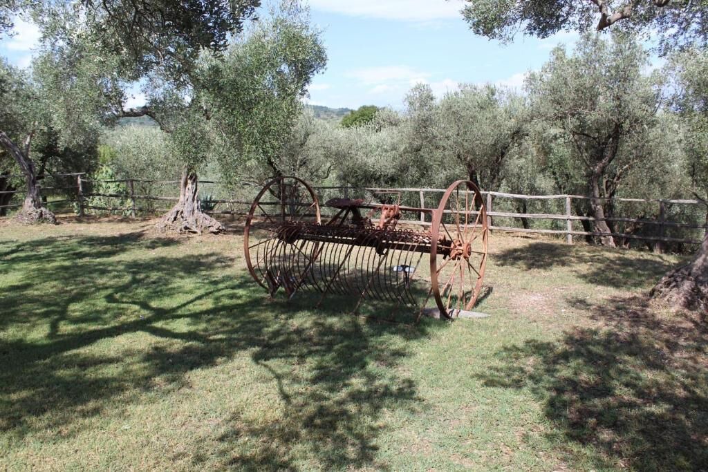 Photo of Others in Campagna