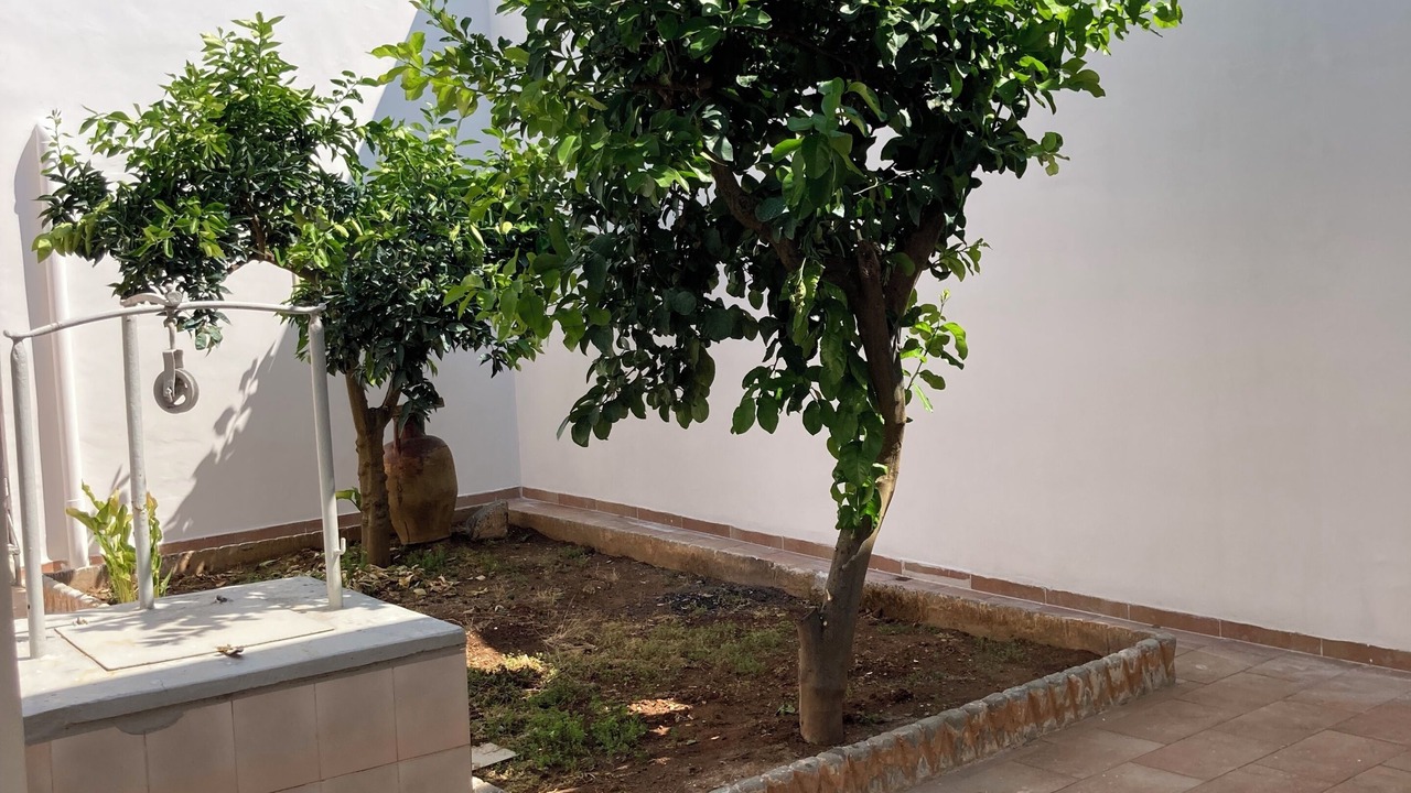 Photo of Outdoor in Veglie