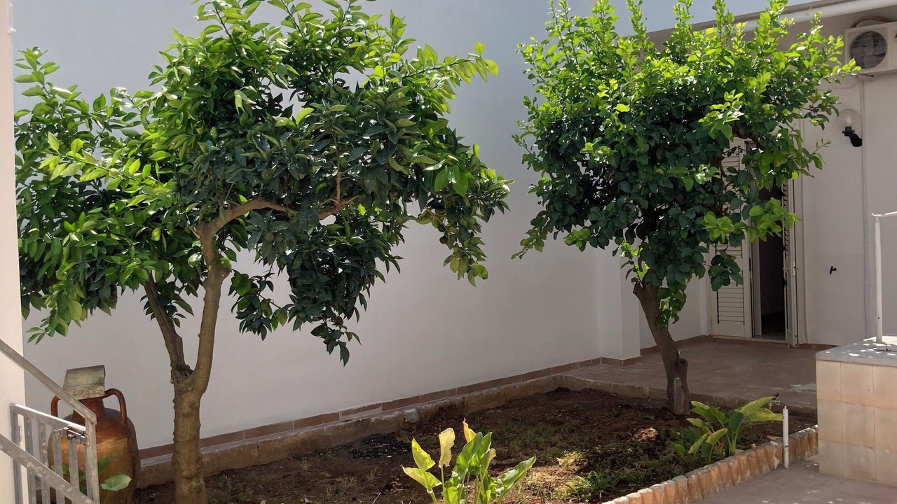 Photo of Outdoor in Veglie