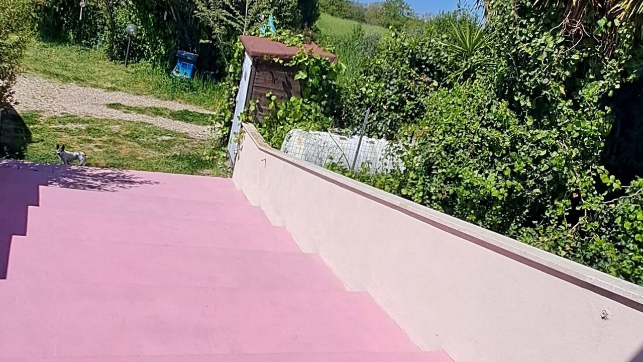 Photo of Outdoor in Zona XLV Castel di Guido