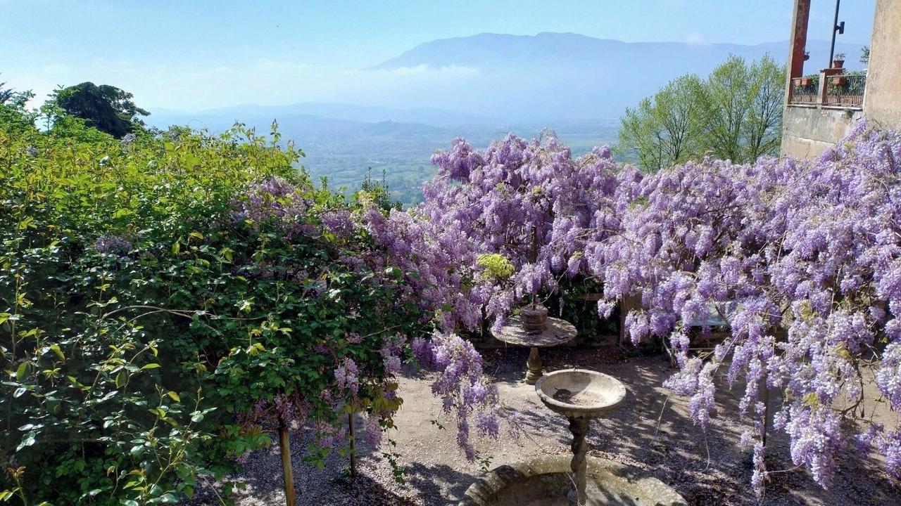 Photo of Others in Anagni