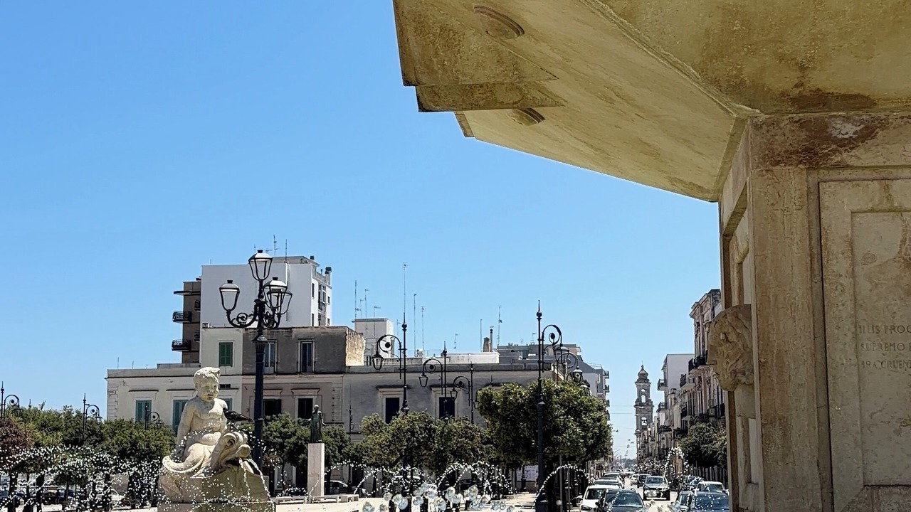 Photo of Others in Mola di Bari