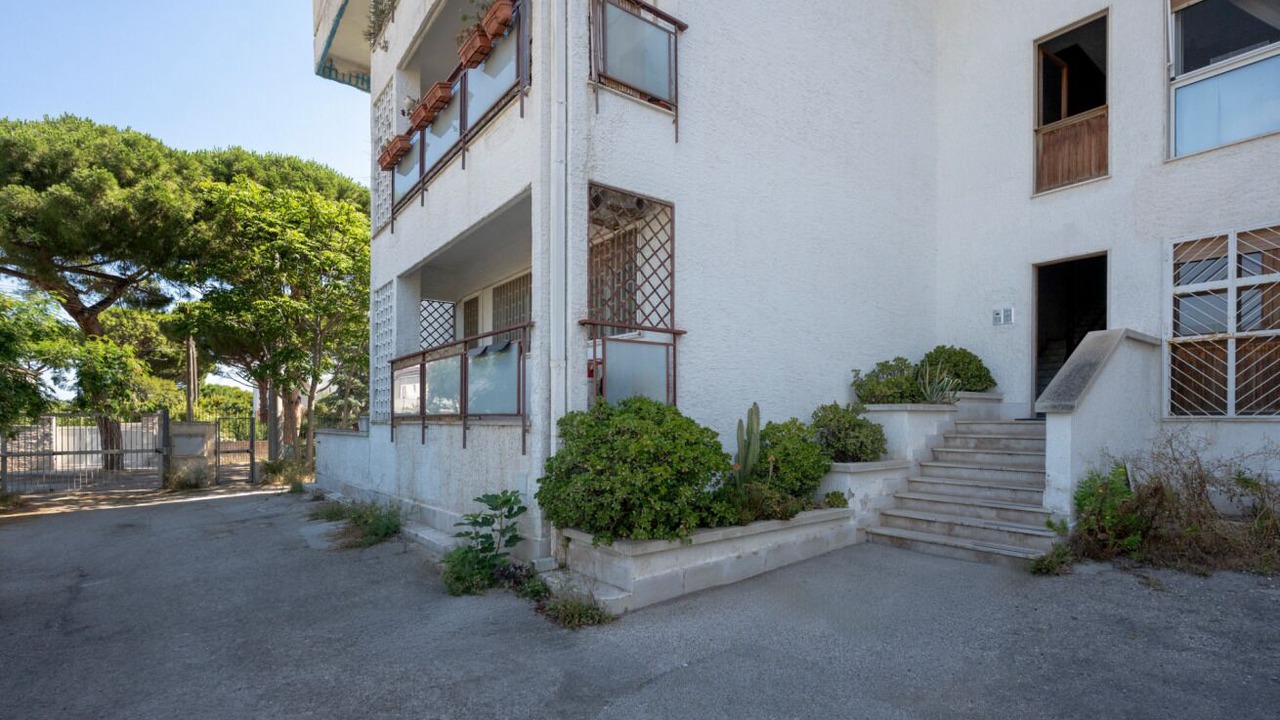 Photo of Outdoor in Municipio 5