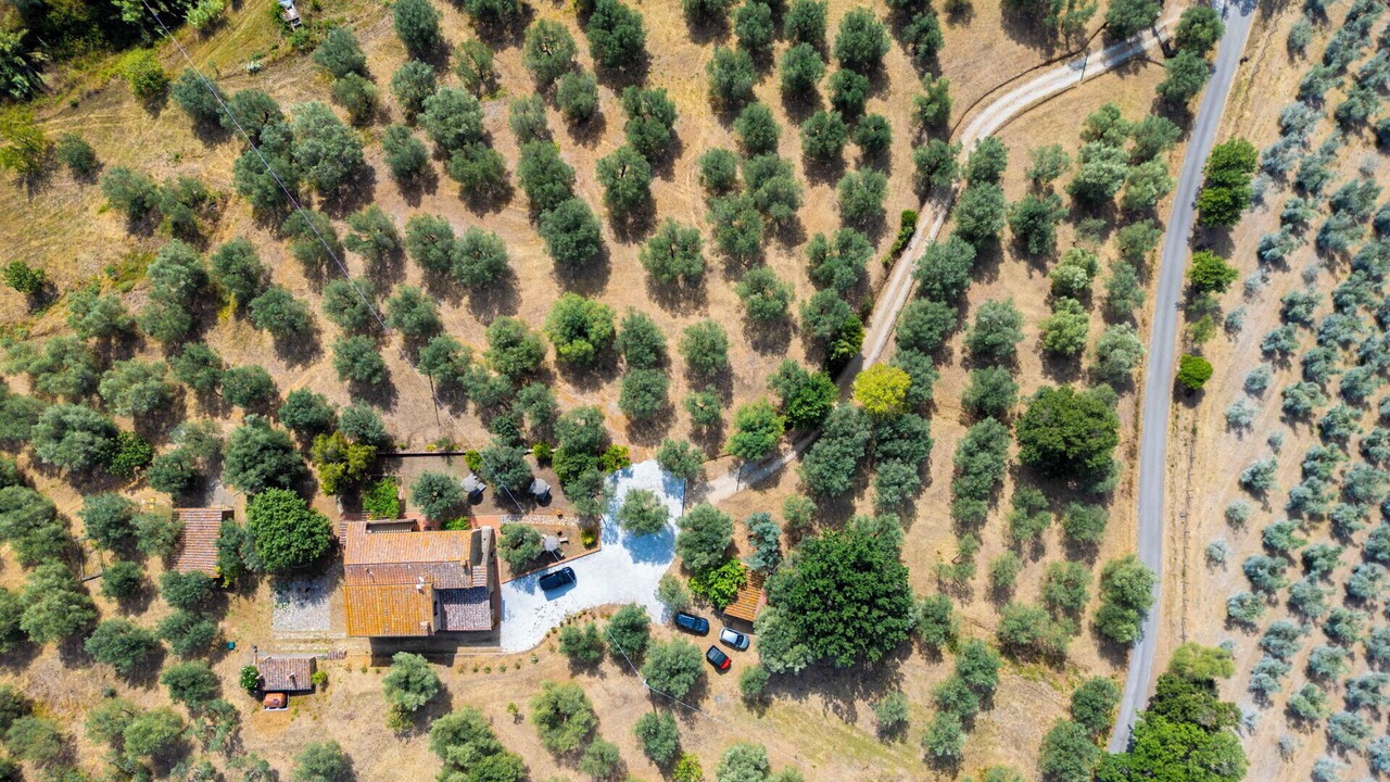 Photo of Others in Campiglia Marittima