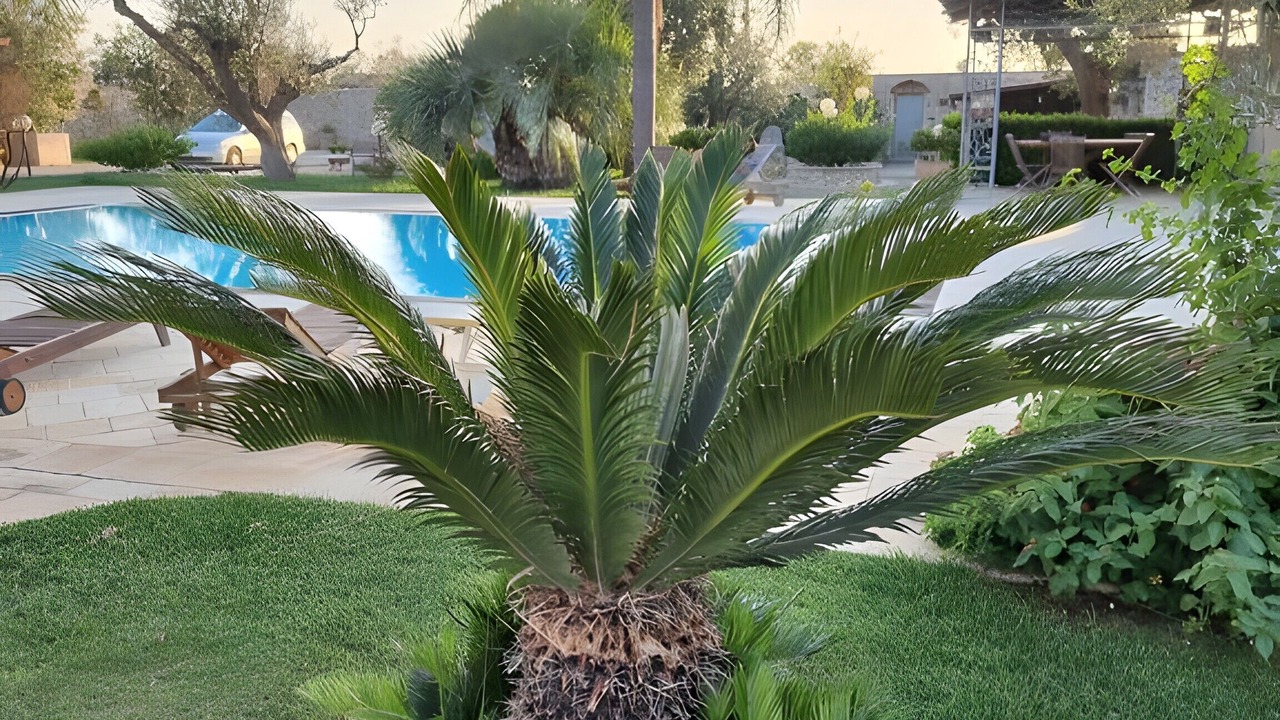 Photo of Outdoor in Galatina