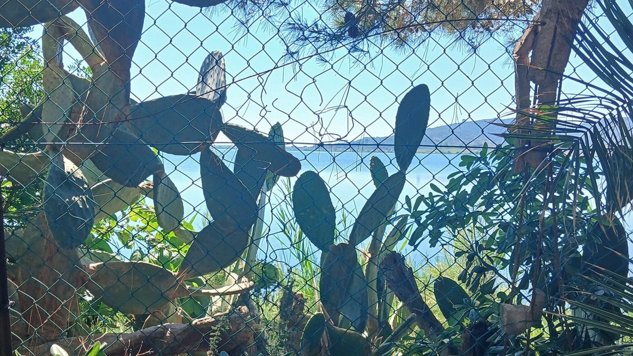 Photo of Outdoor in Giannella