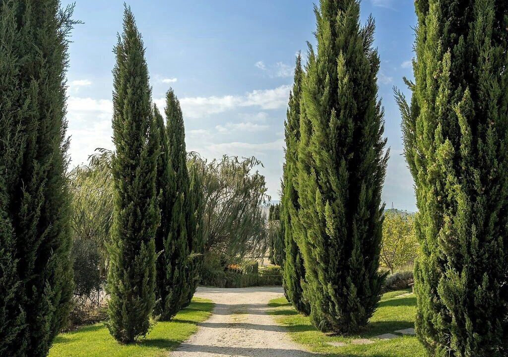 Photo of Outdoor in Castiglione del Lago