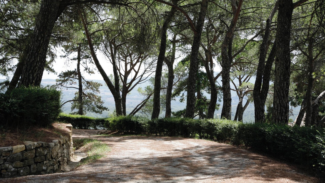 Photo of Outdoor in Montegiove