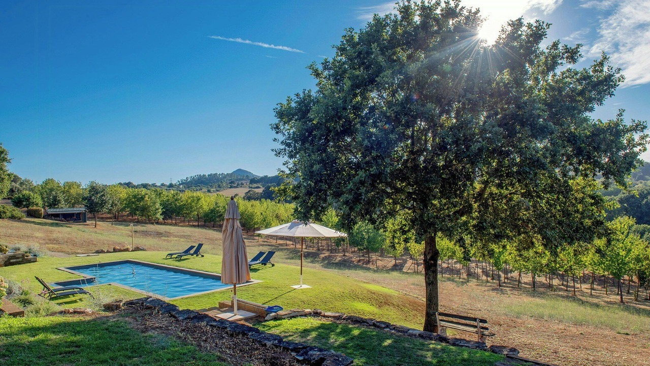 Photo of Outdoor in Sutri