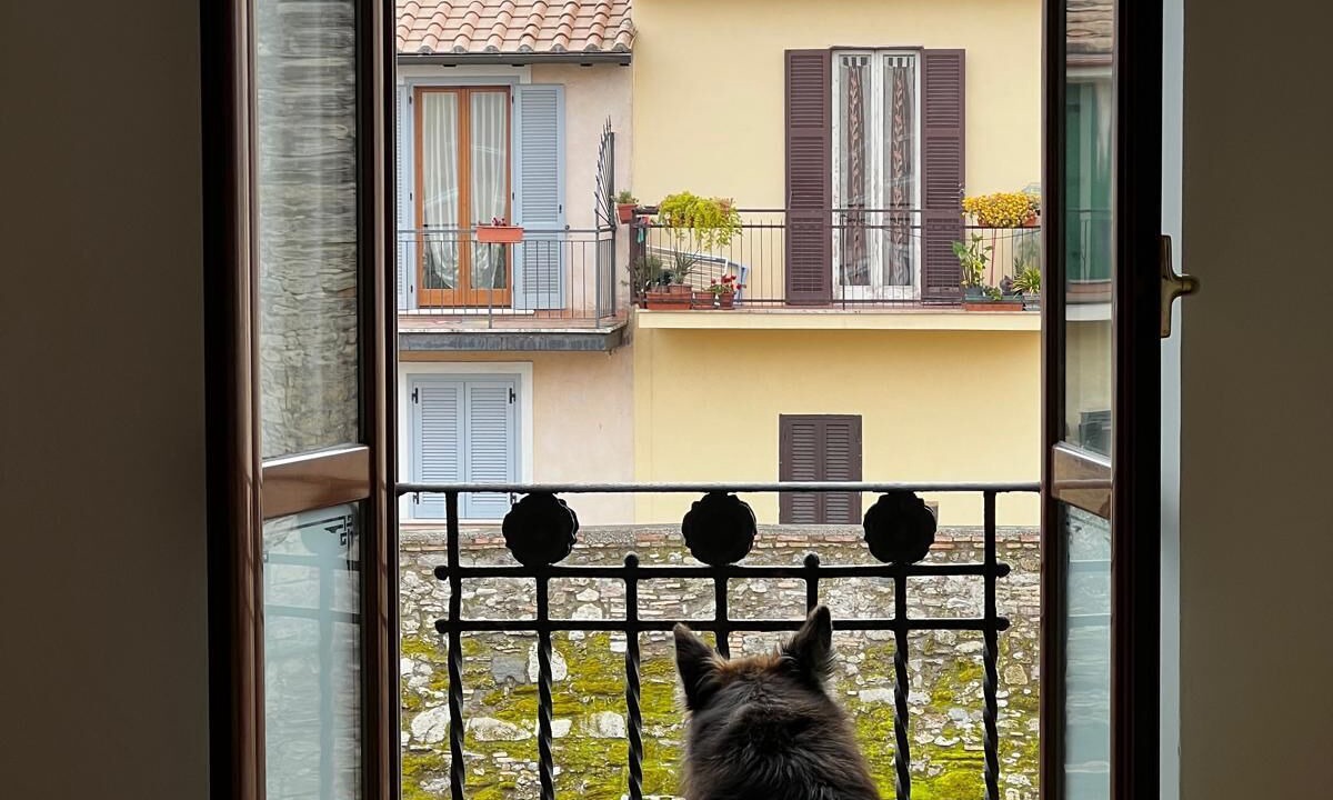 Photo of Others in Nettuno