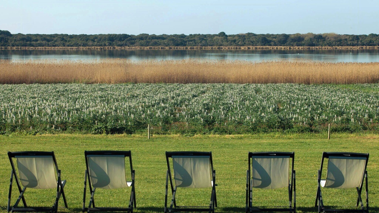 Photo of Outdoor in Capalbio