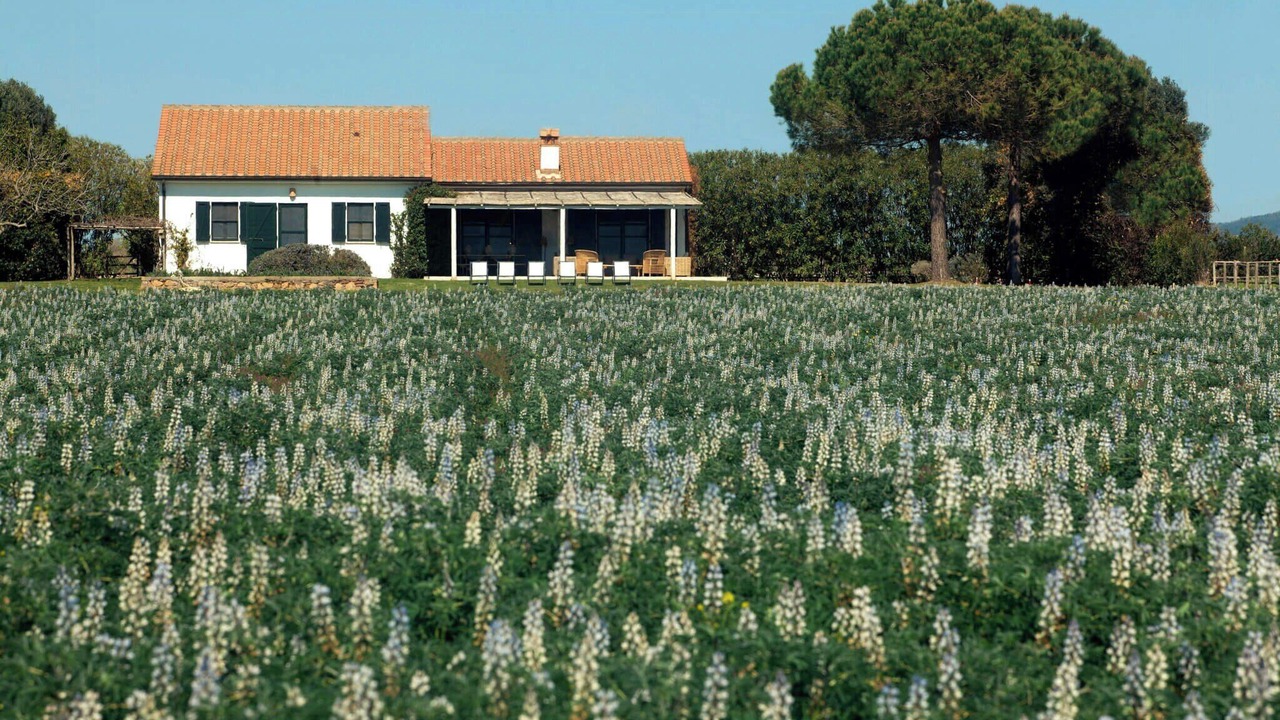 Photo of Outdoor in Capalbio