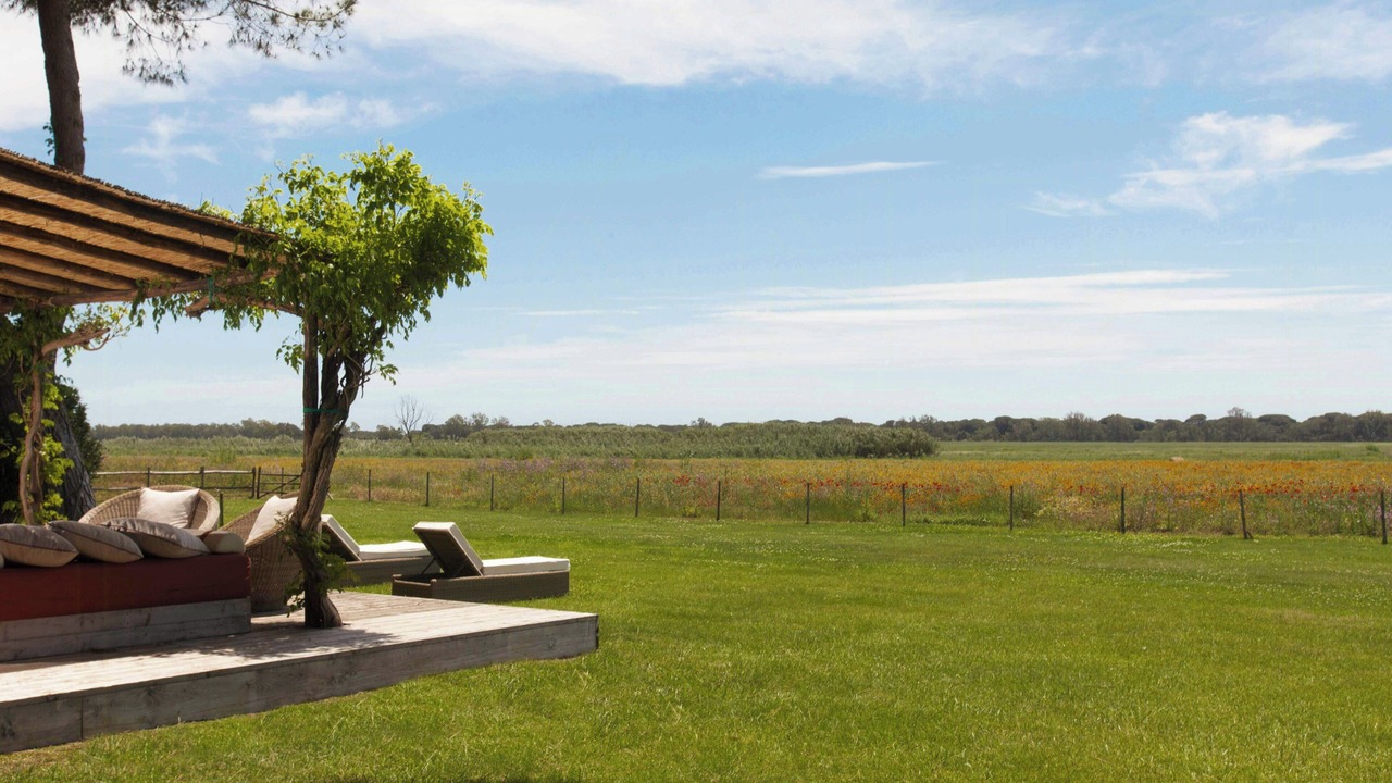 Photo of Outdoor in Capalbio