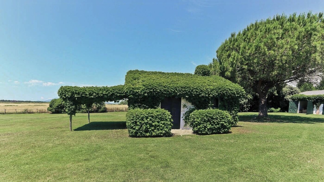 Photo of Outdoor in Capalbio
