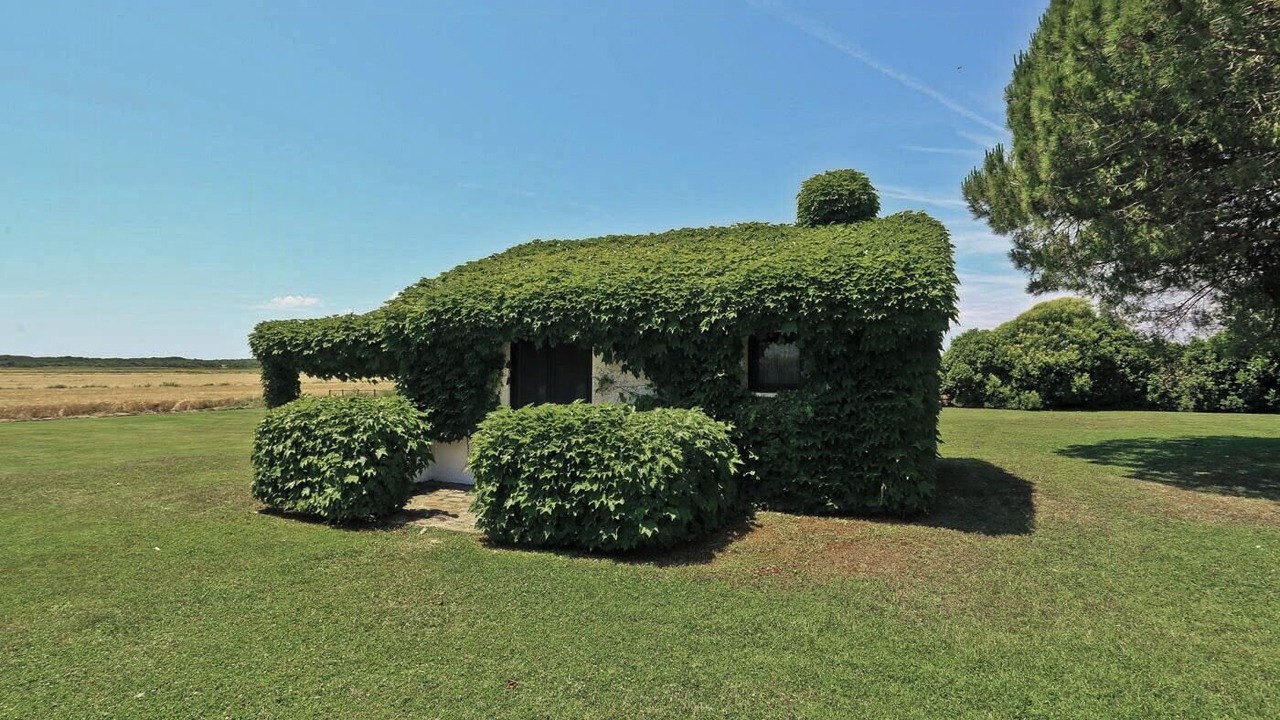 Photo of Outdoor in Capalbio