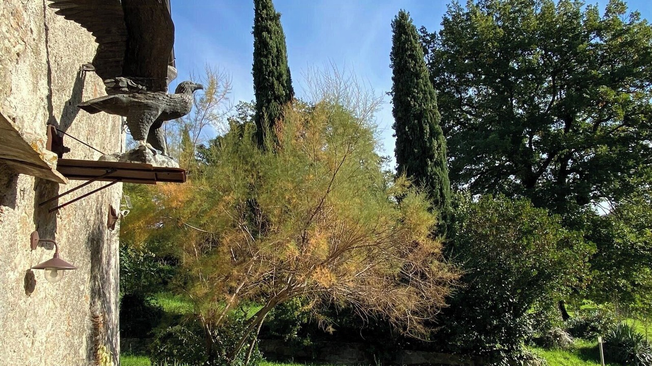 Photo of Outdoor in Viterbo