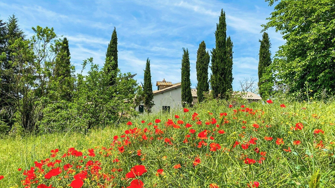 Photo of Outdoor in Viterbo
