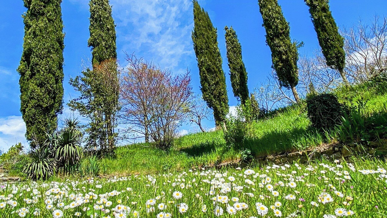 Photo of Outdoor in Viterbo