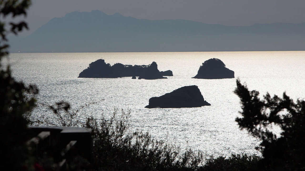 Photo of Outdoor in Nerano