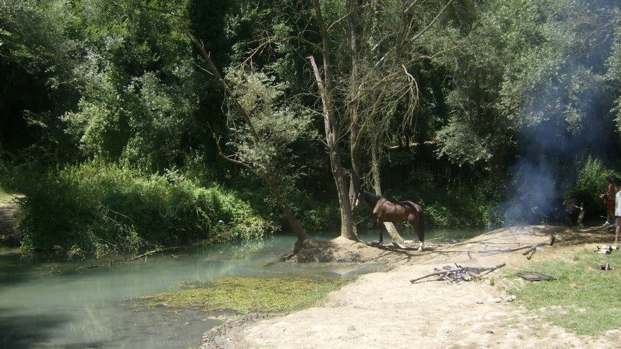 Photo of Others in Salisano
