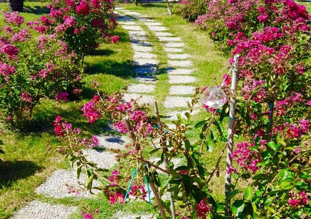 Photo of Outdoor in Salisano