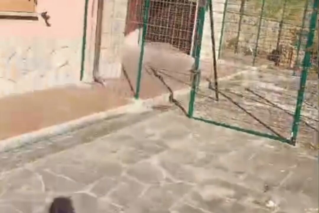 Photo of Outdoor in Manciano