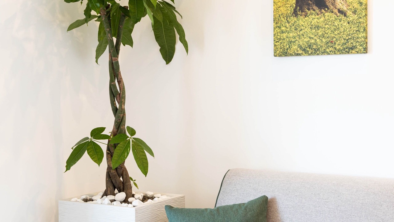 Photo of Livingroom in Pigneto