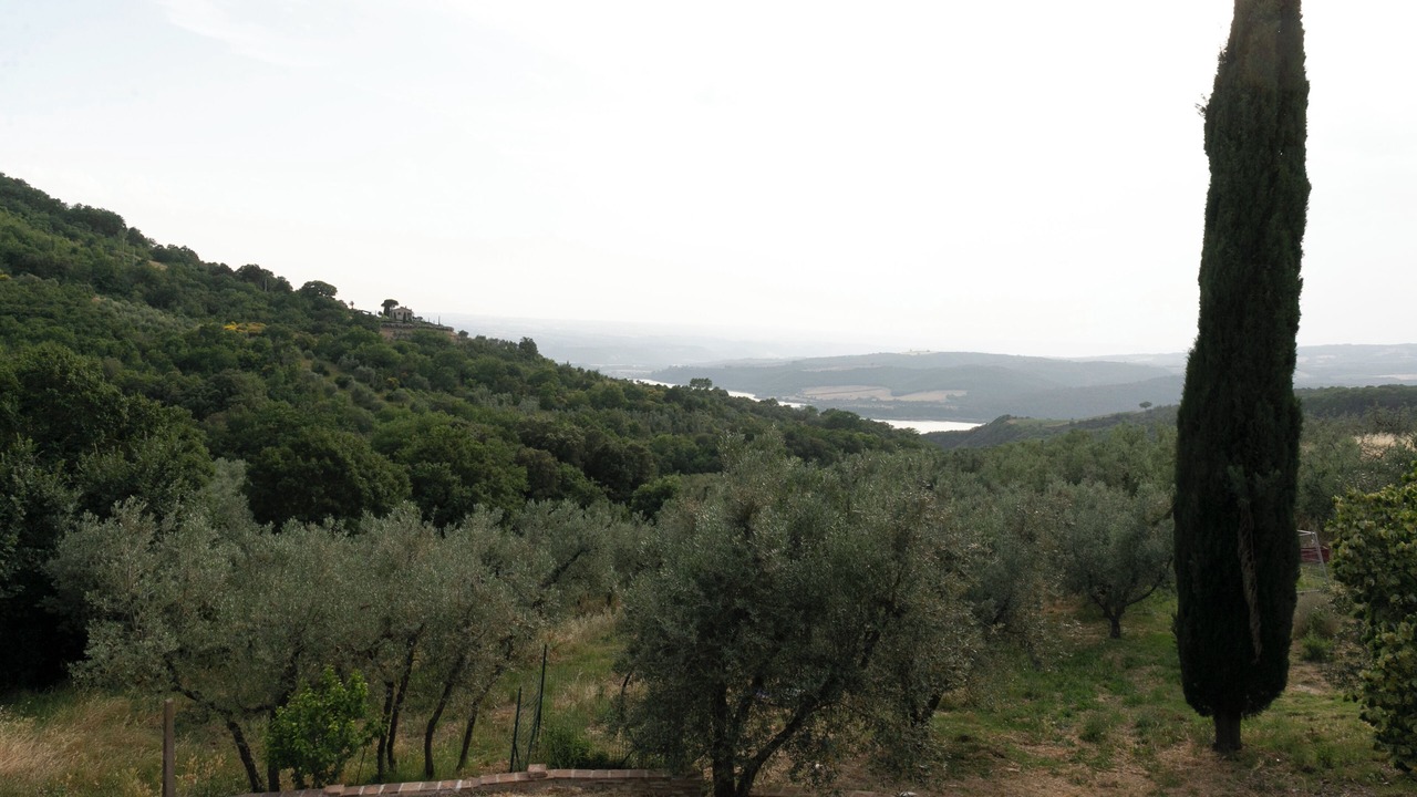 Photo of Others in Baschi