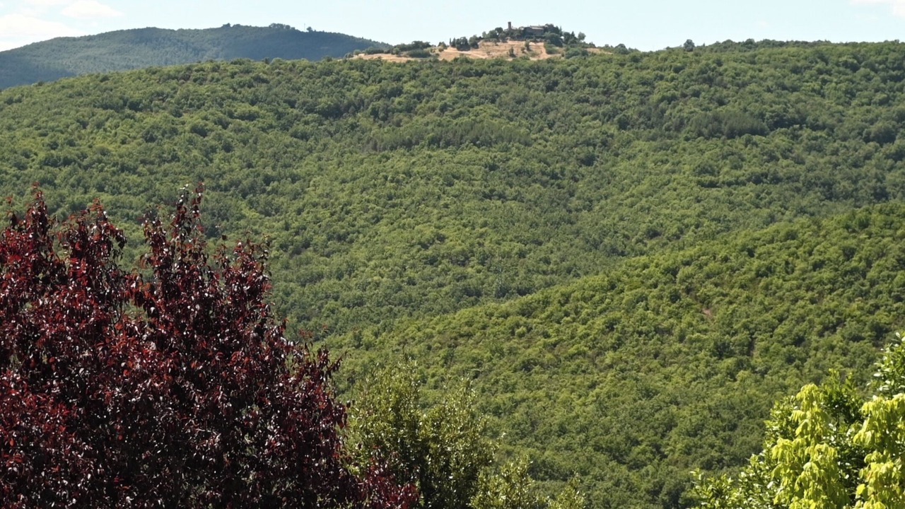 Photo of Others in Teverina di Cortona
