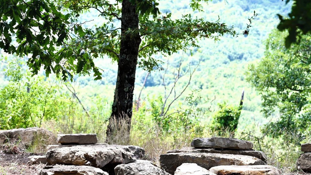 Photo of Others in Teverina di Cortona