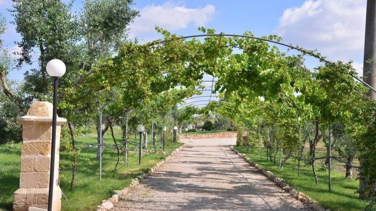 Photo of Others in Salice Salentino