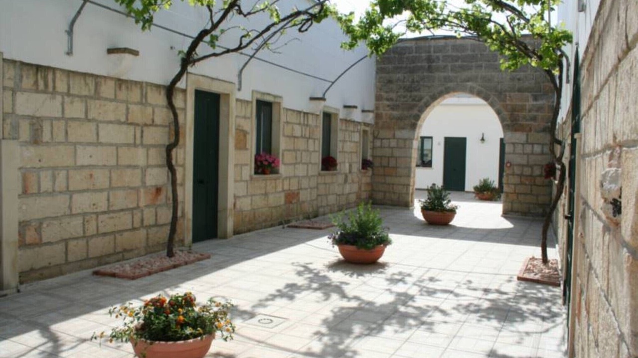 Photo of Outdoor in Salice Salentino