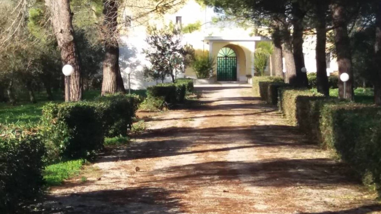 Photo of Outdoor in Salice Salentino
