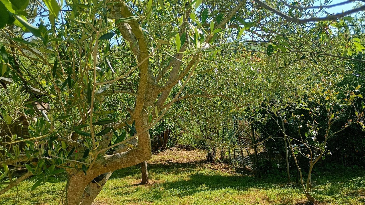 Photo of Outdoor in Loreto