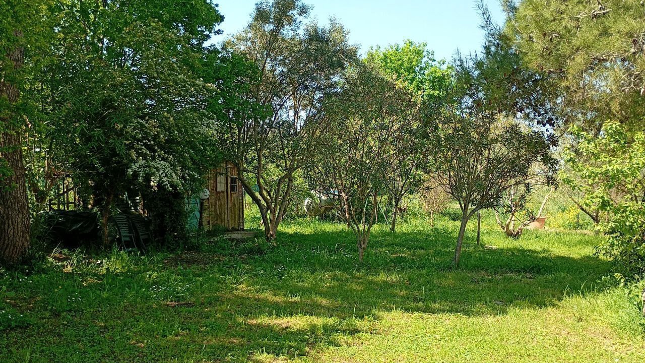 Photo of Outdoor in Loreto