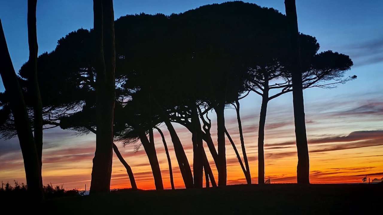 Photo of Others in Piombino