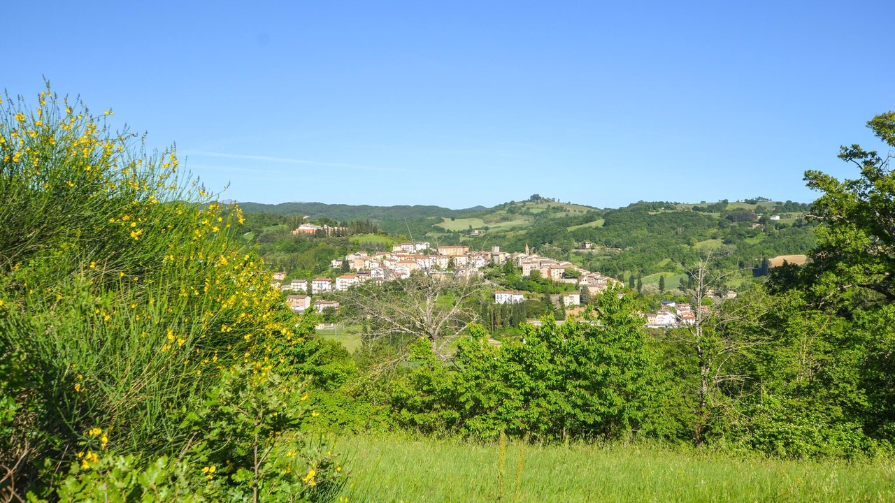 Photo of Others in Pietralunga