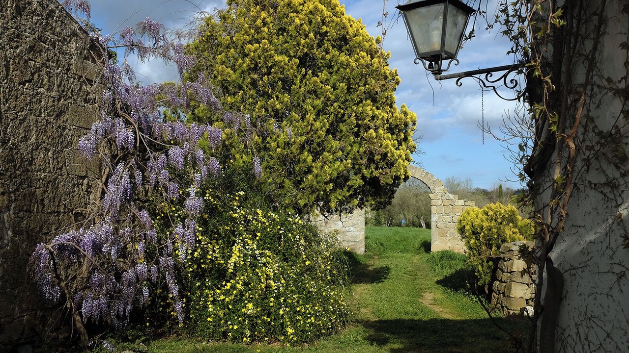 Photo of Outdoor in Farnese