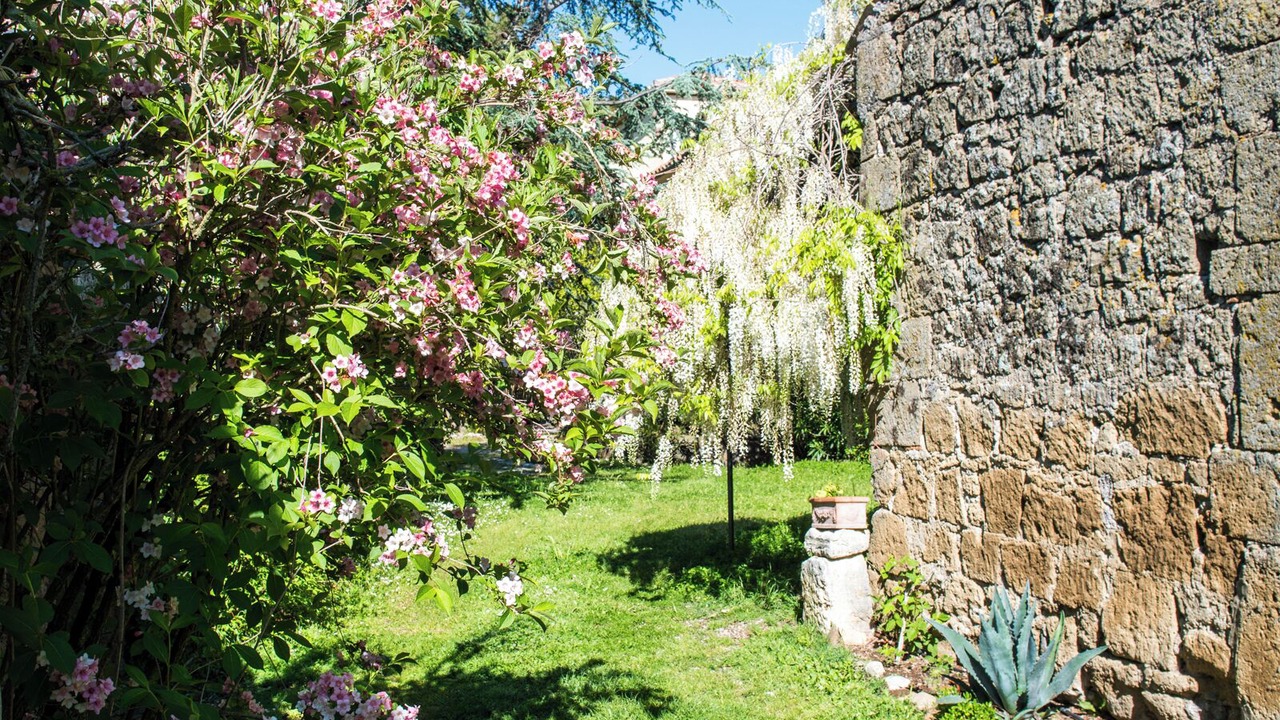 Photo of Outdoor in Farnese