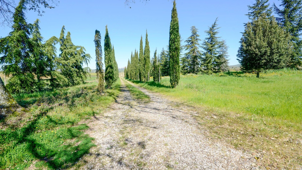 Photo of Others in Manciano