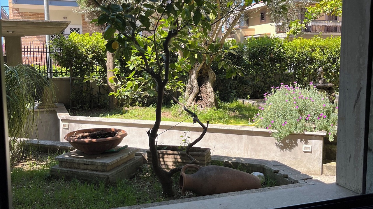 Photo of Others in Zona LVII Labaro