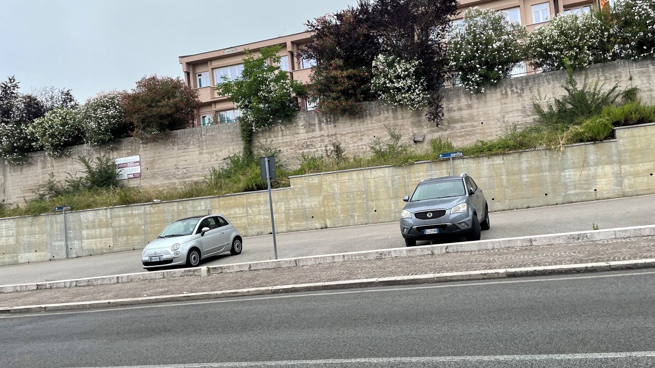 Photo of Outdoor in Arce