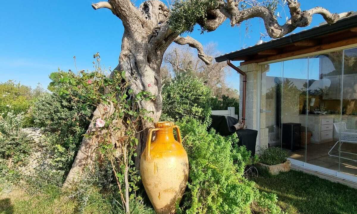 Photo of Outdoor in San Vito dei Normanni