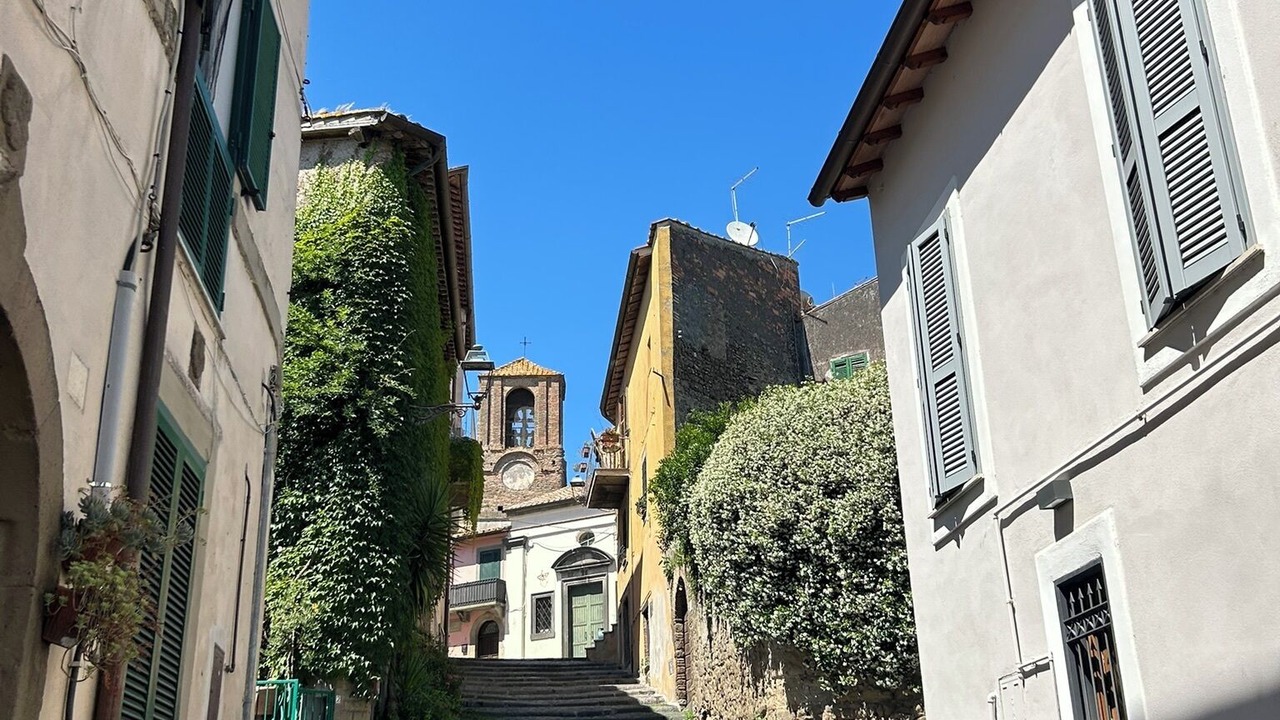 Photo of Others in Lake Bracciano