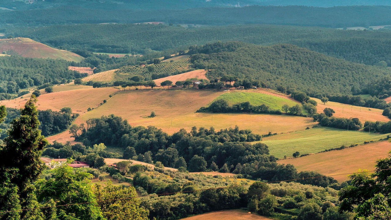 Photo of Others in Scansano
