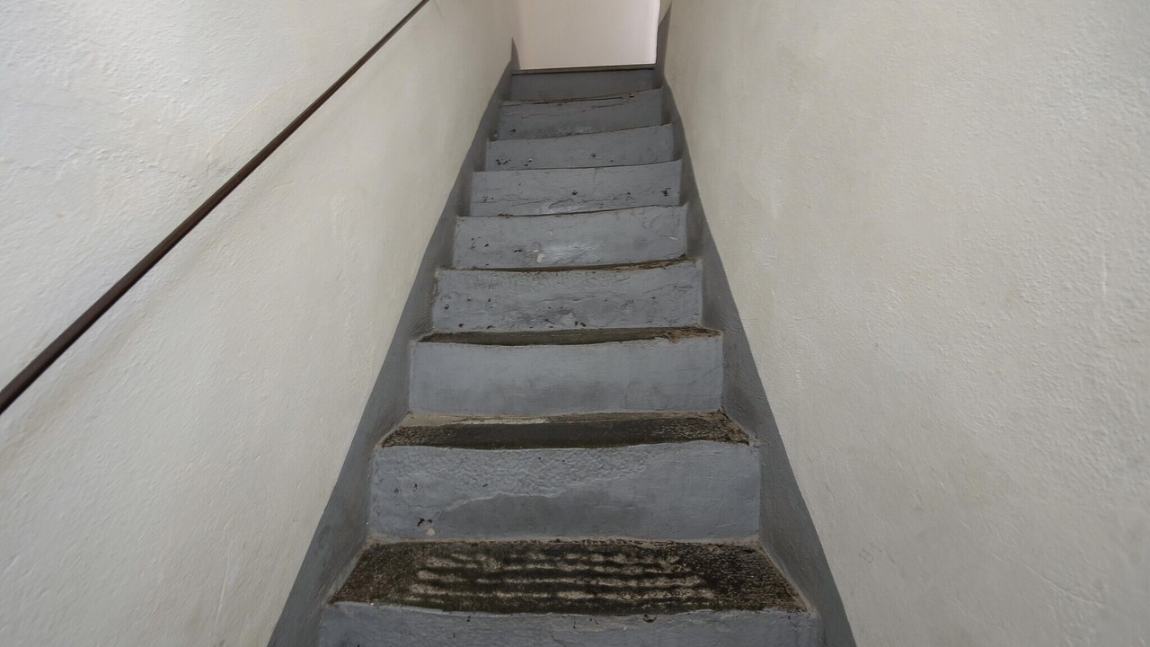 Photo of Others in Scansano